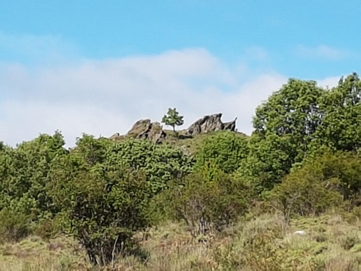 La Posada De Horcajuelo Horcajuelo de la Sierra المظهر الخارجي الصورة