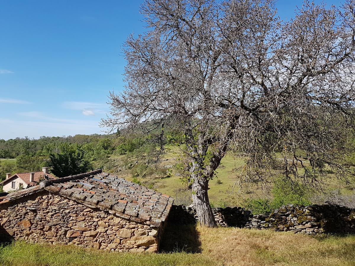 La Posada De Horcajuelo Horcajuelo de la Sierra المظهر الخارجي الصورة