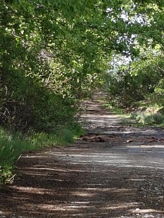 La Posada De Horcajuelo Horcajuelo de la Sierra المظهر الخارجي الصورة